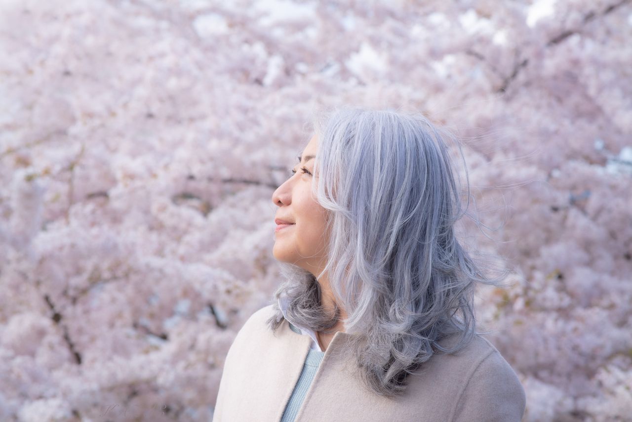 ニールセン朋子